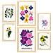 Set Di 6 Stampe Fiori Scala Cromatica Stampe Naturali E Botaniche Per L'interior Design A3 & A4 Telaio In Legno Chiaro - Foto miniatura 1