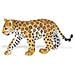 Safari Ltd Wild Safari Wildlife Leopard Cub - Foto miniatura 1