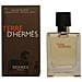 Terre D'Hermes Eau de Toilette 100 ml Vapo - Foto miniatura 7