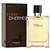 Terre D'Hermes Eau de Toilette 100 ml Vapo - Foto miniatura 1