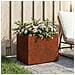 Vaso da giardino Ruggine 40 x 30 x 30 cm Acciaio Corten - Foto miniatura 2