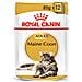 Maine Coon Buste Royal Canin - Foto miniatura 1