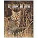Tiziano Fiorenza - Il fantasma dei boschi. Alla scoperta del misterioso gatto selvatico europeo-The ghost of the forest. In search of the mysterious euroepan wildcat. Ediz. bilingue. Con QR-Code - Foto miniatura 1