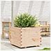 Fioriera Da Giardino 60x60x49,5 Cm In Legno Massello Di Pino - Foto miniatura 3