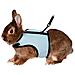 Parure Pettorina Con Guinzaglio Per Conigli Nani - Foto miniatura 2