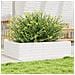 Fioriera Da Giardino Bianca 90x60x23 Cm Legno Massello Di Pino - Foto miniatura 1