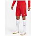 Pantaloncino Dri-Fit League 3Dr0960-657 Uomo Taglia M Colore Rosso - Foto miniatura 5