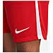 Pantaloncino Dri-Fit League 3Dr0960-657 Uomo Taglia M Colore Rosso - Foto miniatura 6