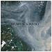 Damien Jurado - Caught In The Tree - Foto miniatura 1
