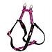Pettorina Cane Nylon Vari Colori Chiusura Clip Scatto Easy P Colours - Foto miniatura 1