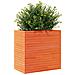 Fioriera Giardino Marrone Cera 70x40x68,5cm Legno Massello Pino - Foto miniatura 2