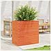 Fioriera Giardino Marrone Cera 70x40x68,5cm Legno Massello Pino - Foto miniatura 8