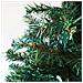 Albero Di Natale Riccardo, Pino Artificiale, Albero Effetto Reale, Alberello Natalizio Extra Folto, 183x183 H300 Cm, Verde - Foto miniatura 11