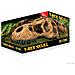 Tana Rettili Exo Terra T-rex Skull - Foto miniatura 1