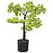 Bonsai Di Cipresso Artificiale Con Vaso 60 Cm Verde - Foto miniatura 1
