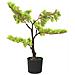 Bonsai Di Cipresso Artificiale Con Vaso 60 Cm Verde - Foto miniatura 2