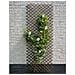 Traliccio Da Giardino 60x180 Cm Salice Naturale Marrone - Foto miniatura 3