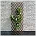 Traliccio Da Giardino 60x180 Cm Salice Naturale Marrone - Foto miniatura 1