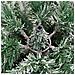 Albero Natale Artificiale Incernierato Con Neve Fioccata 150 Cm - Foto miniatura 7