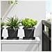 Vaso quadrato per fiori 24 pcs Nero 16 x 16 x 14 cm Plastica - Foto miniatura 2