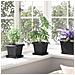 Vaso quadrato per fiori 24 pcs Nero 16 x 16 x 14 cm Plastica - Foto miniatura 4