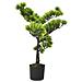Bonsai Di Pino Artificiale Con Vaso 60 Cm Verde - Foto miniatura 2