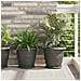 Vasi per Piante 6 pcs Nero Ø 26 x 21.5 cm Plastica - Foto miniatura 2