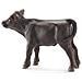 Farm Life Vitello Black Angus - Foto miniatura 1