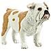 Ltd Best In Show Dogs Bulldog - Foto miniatura 1