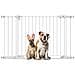 Bettacare Cancelletto Per Cani Safestep, Bianco, 131cm - 138cm, Passaggio Extra Basso, Apertura Extra Larga Di 81cm - Foto miniatura 1