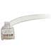 Cat6 Booted Unshielded (UTP) Network Patch Cable - Cavo patch - RJ-45  - Foto miniatura 5