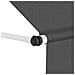 Tenda Da Sole Retrattile Manuale 250 Cm Antracite - Foto miniatura 2