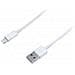 CI-559 2m USB A Lightning Bianco cavo USB - Foto miniatura 1