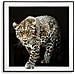 Stampa Su Tela Leopardo 1 - Multicolore - Tessuto - 82x82x4 Cm - Foto miniatura 1