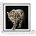 Stampa Su Tela Leopardo 1 - Multicolore - Tessuto - 82x82x4 Cm - Foto miniatura 6