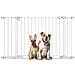 Bettacare Cancelletto Per Cani Safestep, Bianco, 138cm - 145cm, Passaggio Extra Basso, Apertura Extra Larga Di 81cm - Foto miniatura 1