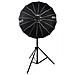 LT-120 Softbox a lanterna per Forza 200 300 500 - Foto miniatura 4