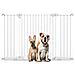 Bettacare Cancelletto Per Cani Safestep, Bianco, 152cm - 159cm, Passaggio Extra Basso, Apertura Extra Larga Di 81cm - Foto miniatura 1