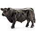 Horse Club Black Angus Toro - Foto miniatura 1