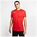 Maglia Uomo Dry Park 20 SS Taglia XL Colore Rosso - Foto miniatura 1