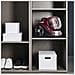 Compact Power XXL RO4B63EA Aspirapolvere a Traino Senza Sacchetto Potenza 900 Watt Colore Rosso - Foto miniatura 5