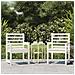 Sedie Da Giardino 2pz Bianche 60x48x91cm Legno Massello Di Pino - Foto miniatura 1