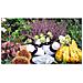 32n Allium Sativum Compositum Integratore Alimentare - Foto miniatura 1