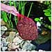Torba Per Laghetto Da Giardino Aquavital 10 L - Foto miniatura 1