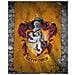 Harry Potter: Gryffindor Flag (poster Mini 40x50 Cm)  - Foto miniatura 1