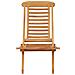 Sedia da Giardino Pieghevole 50x90x69 cm Legno Massello di Teak - Foto miniatura 2