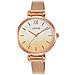 Watches Mod. Rg232qx5 - Foto miniatura 1