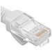 Confezione Da 10 Cavi Di Rete Ethernet Utp Cat. 6 Grigio 1m - Foto miniatura 5