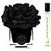 Set Herve Gambs: Ombre Patchouli, Room Spray, 10 Ml + Black Couture Flower, Porcelain, Aroma Reed Diffuser, Black - Foto miniatura 1
