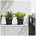 Vaso quadrato per fiori 24 pcs Nero 20 x 20 x 16 cm Plastica - Foto miniatura 2